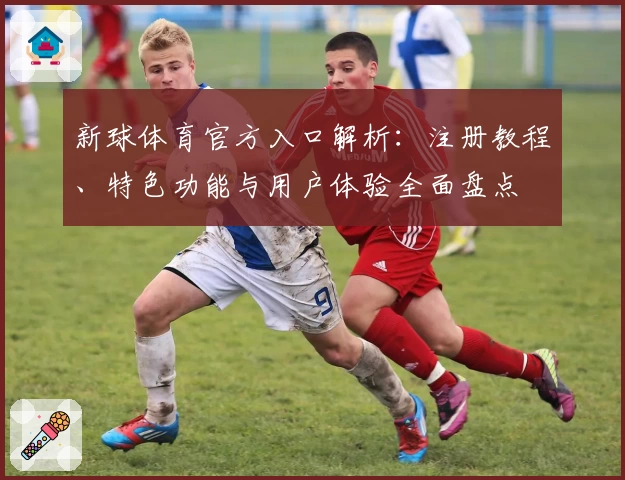 新球体育官方入口解析：注册教程、特色功能与用户体验全面盘点