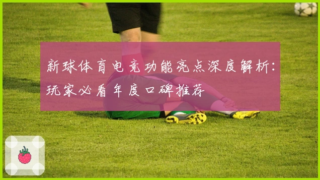 新球体育电竞功能亮点深度解析：玩家必看年度口碑推荐
