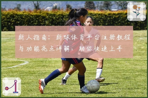 新人指南：新球体育平台注册教程与功能亮点详解，助你快速上手