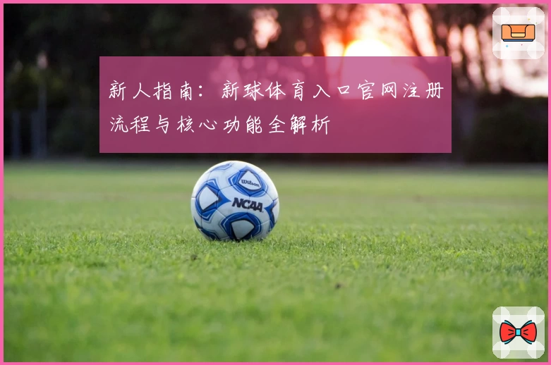 新人指南：新球体育入口官网注册流程与核心功能全解析