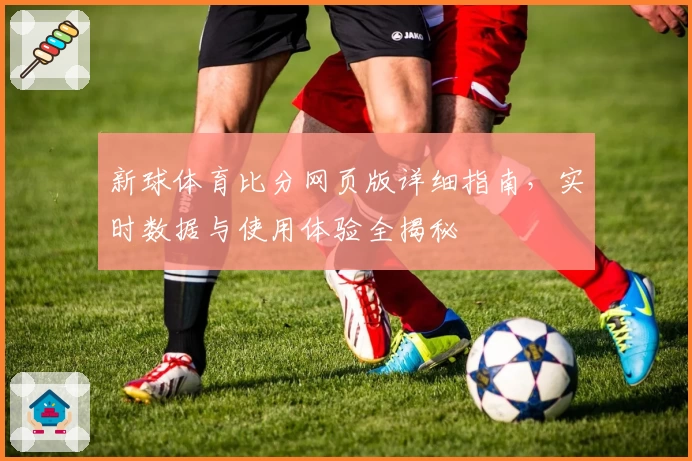新球体育比分网页版详细指南，实时数据与使用体验全揭秘