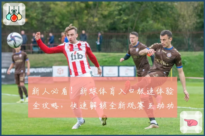 新人必看！新球体育入口极速体验全攻略，快速解锁全新观赛互动功能亮点