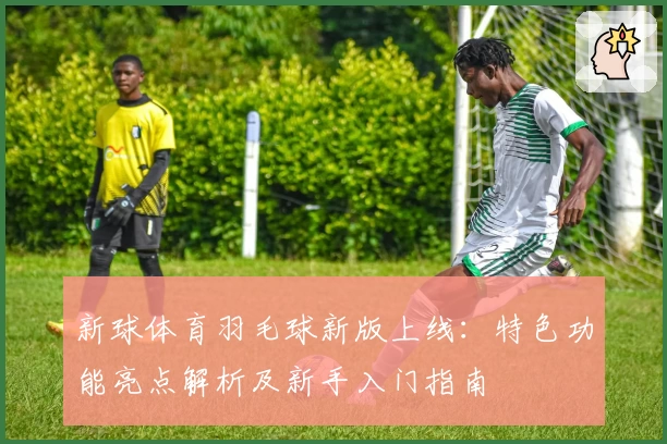 新球体育羽毛球新版上线：特色功能亮点解析及新手入门指南