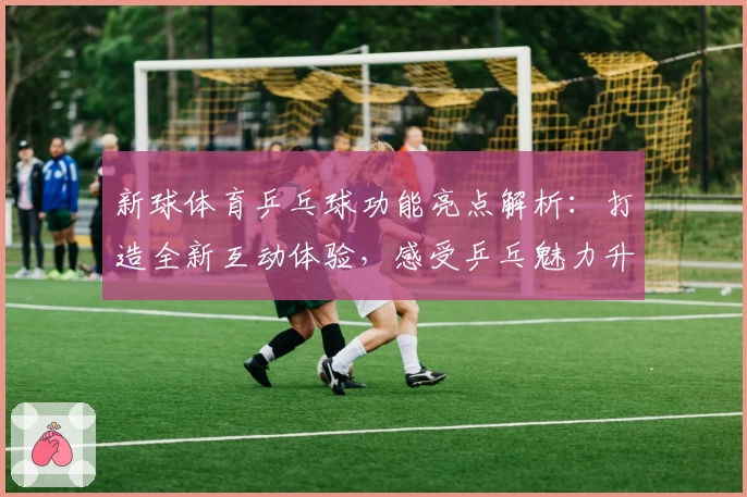 新球体育乒乓球功能亮点解析：打造全新互动体验，感受乒乓魅力升级之旅