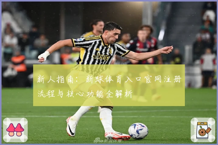 新人指南：新球体育入口官网注册流程与核心功能全解析